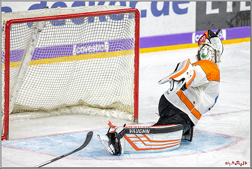 DEL Koelner Haie - Grizzlys Wolfsburg, 23.09.2018